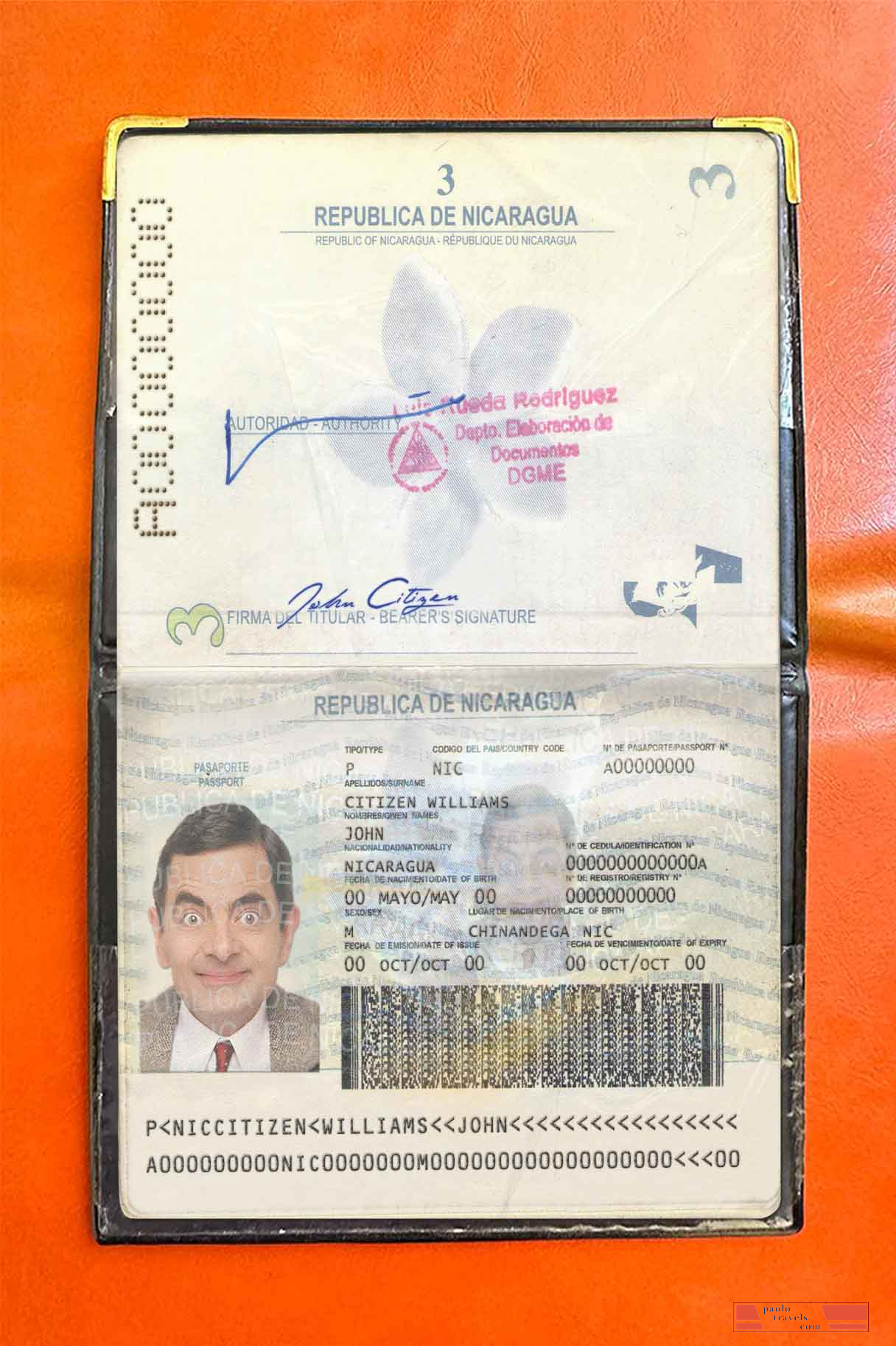 Nicaragua pass photo look PSD template